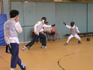 fencing