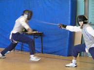 fencing