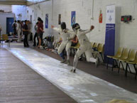 fencing