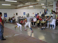 fencing