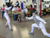 fencing