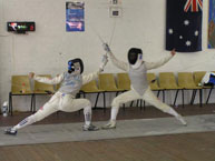 fencing