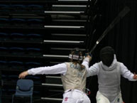 fencing