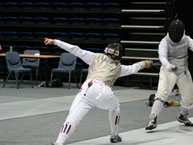 fencing