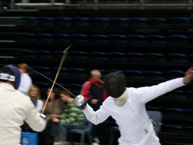 fencing