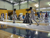 fencing