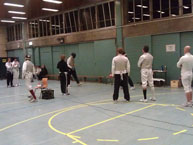 fencing