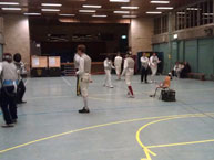 fencing
