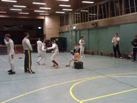 fencing