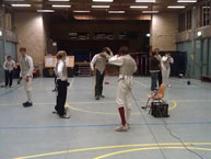 fencing
