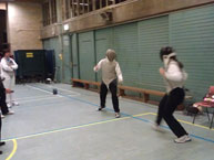 fencing