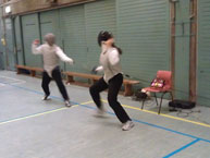 fencing