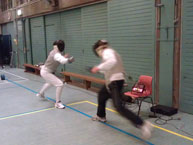 fencing