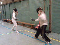 fencing