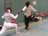 fencing