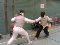 fencing