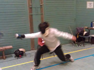 fencing