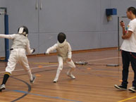fencing