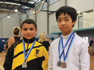 fencing