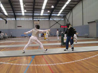 fencing