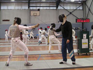 fencing