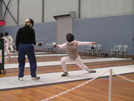 fencing