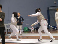 fencing