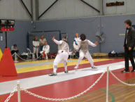 fencing