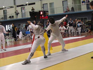 fencing