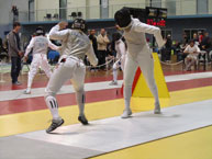 fencing