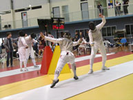 fencing
