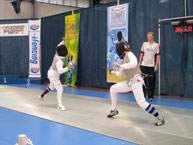 fencing
