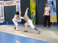 fencing