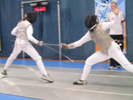 fencing