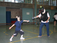 fencing