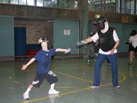 fencing