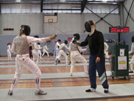 fencing