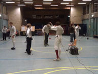 fencing